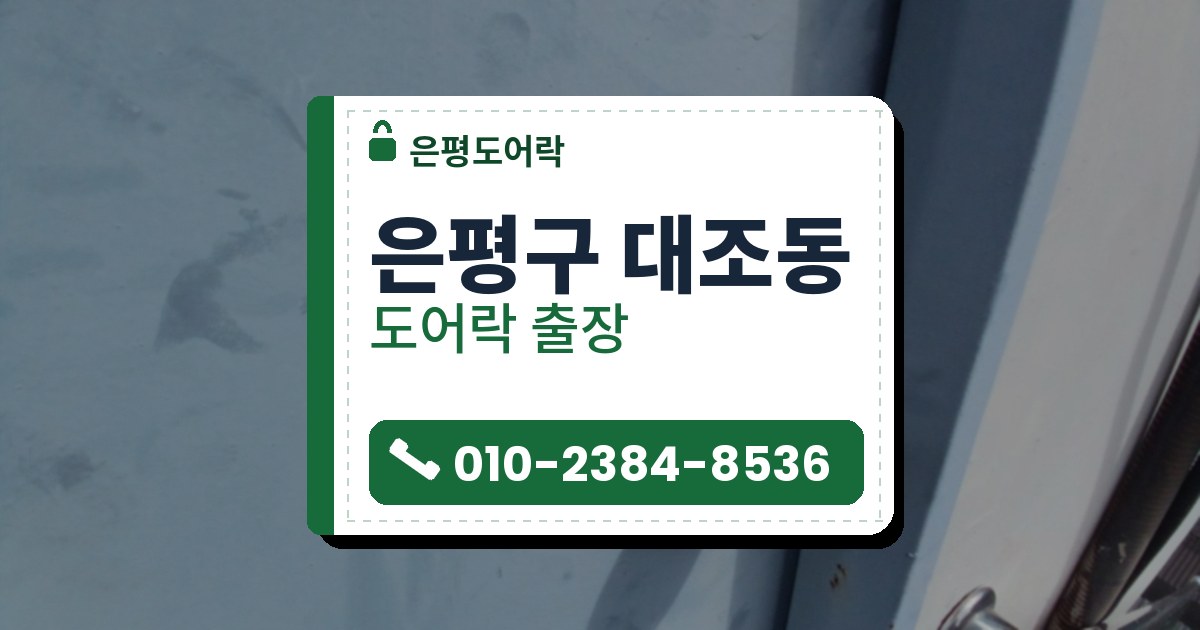 은평구 대조동 출장 — 하늘색 철문의 은색 둥근 손잡이와 위쪽 동심원 모양 열쇠 구멍 가까이